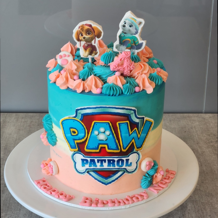 Paw Petrol Ombre